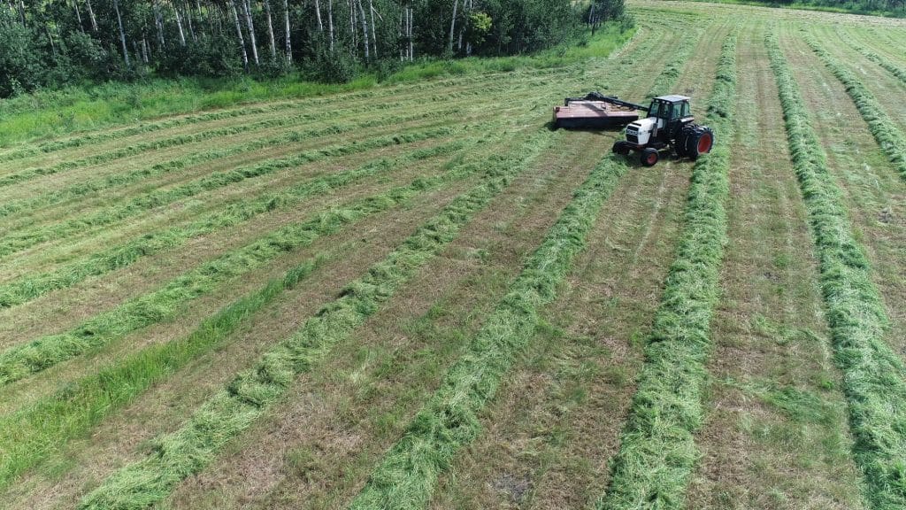 Tractor mowing hay field beside a forest