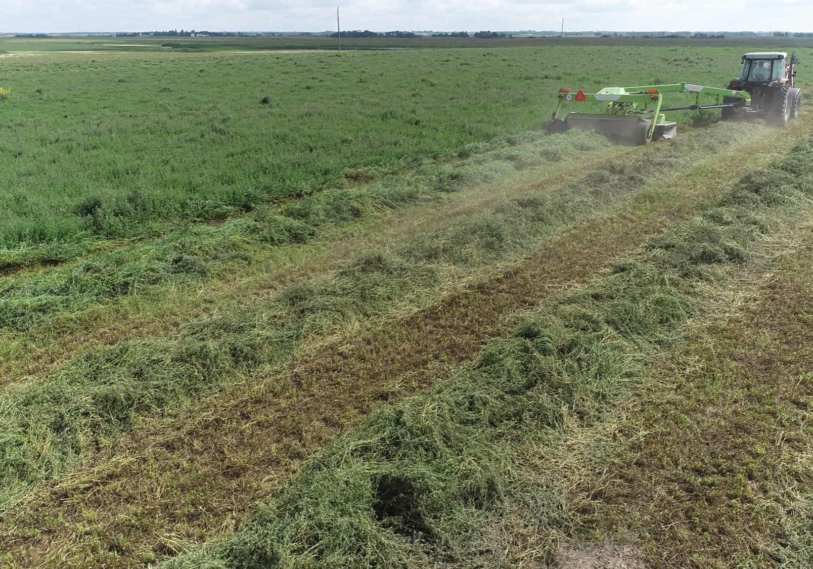 Tractor mowing hay in a green rural field