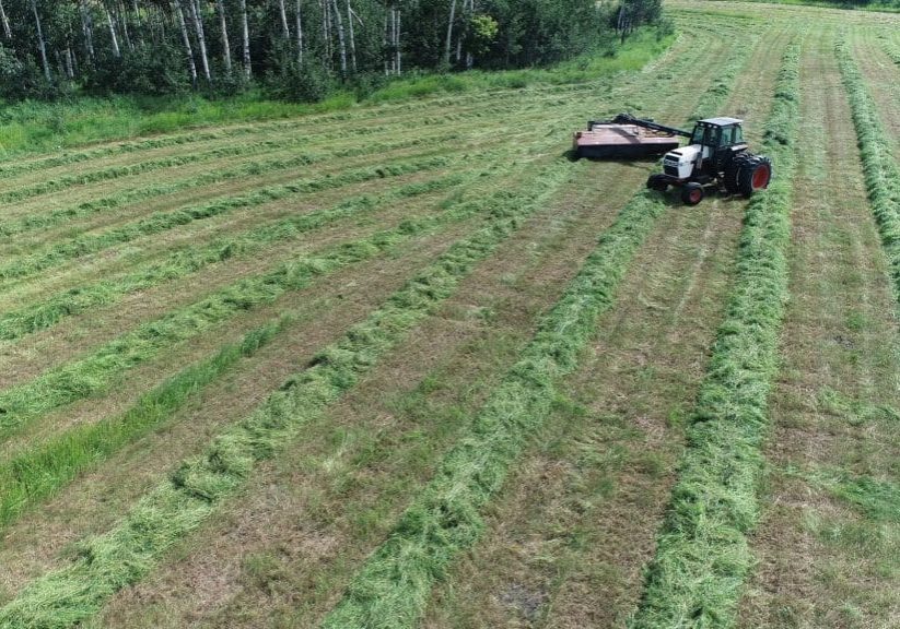 Tractor mowing hay field beside a forest